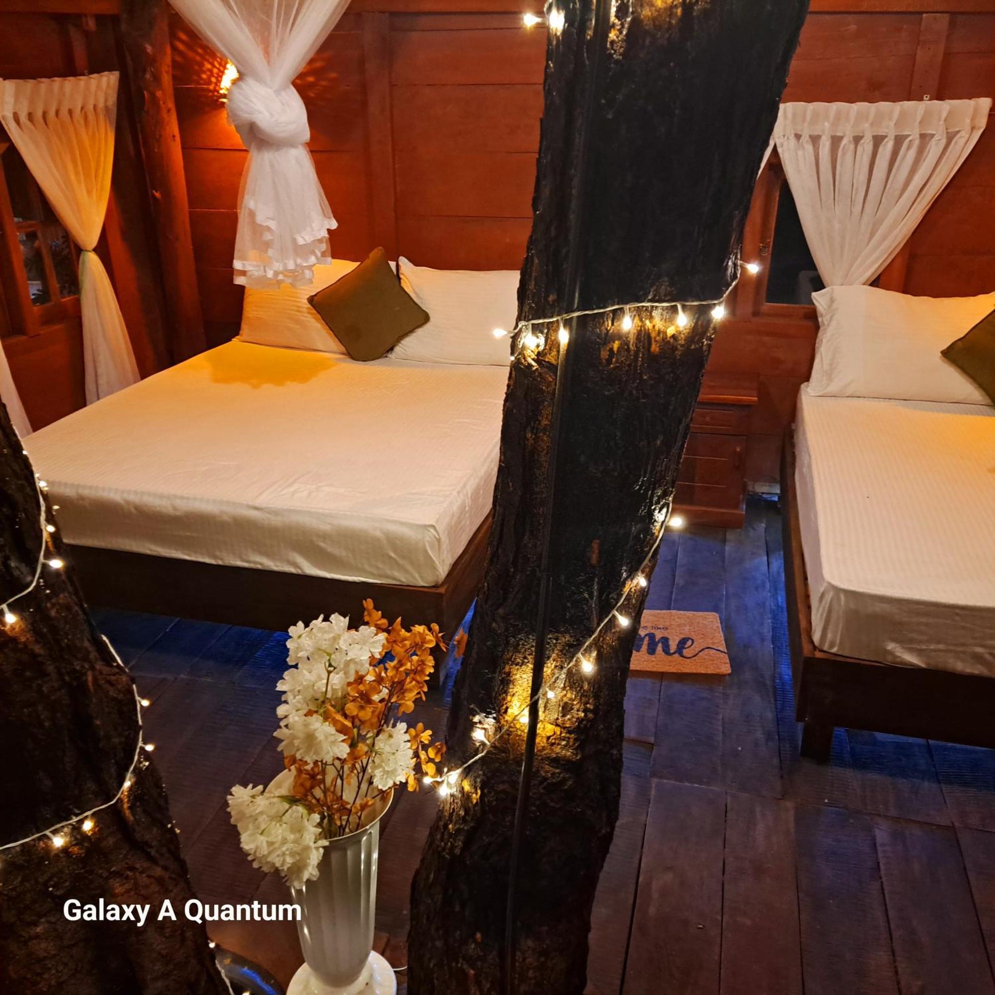 Green Leaf Tree House Dambulla Luaran gambar